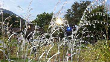 観光スポット / 8