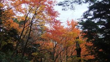 施設の敷地 / 25