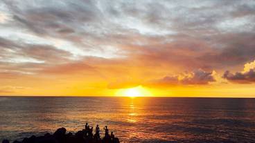 ビーチ / オーシャン ビュー / 7