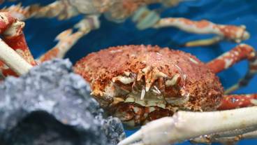 竹島水族館② / 5