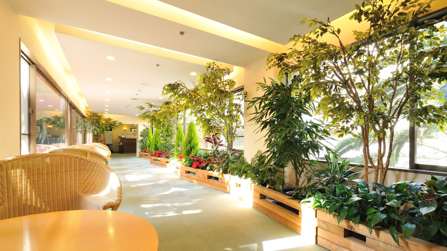 伊東温泉　ウェルネスの森　伊東（イトウオンセン　ウェルネスノモリ　イトウ） / 4