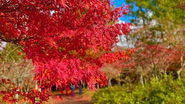 観光スポット / 12