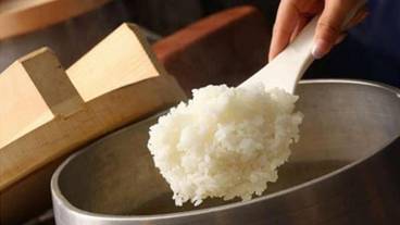 朝食ビュッフェ / 1