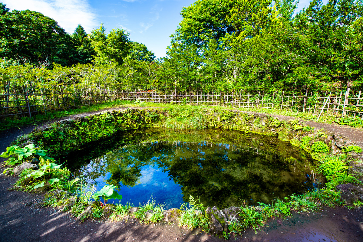 忍野八海 銚子池