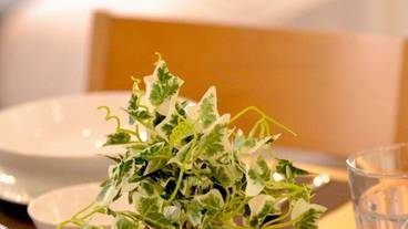 客室の設備とサービス / 10