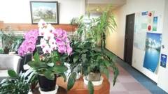 白馬八方温泉 白馬ホテル花乃郷