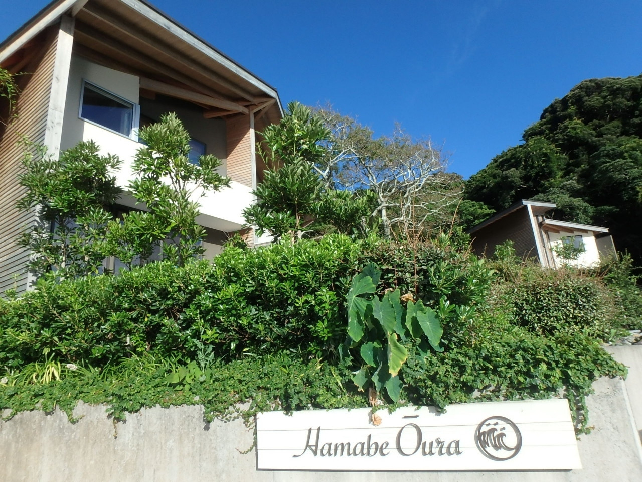 吹き抜けの開放感が素敵♡プライベートプール付きの贅沢な貸別荘3905493