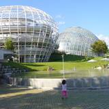笛吹川フルーツ公園（フエフキガワフルーツコウエン）