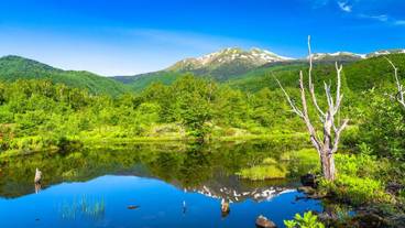 観光スポット / 5