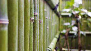 施設からの眺望 / 16