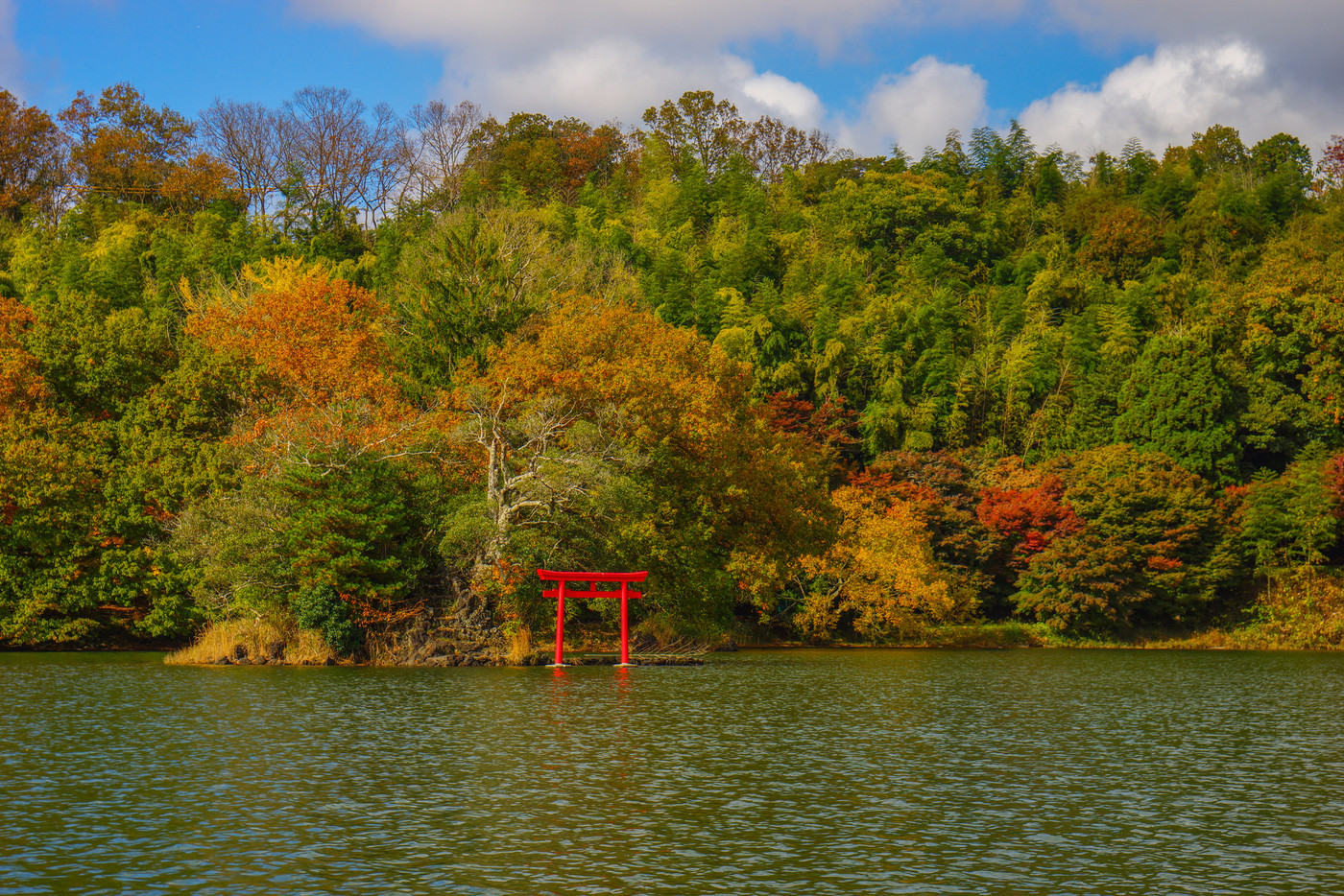 一碧湖 　紅葉　伊東市