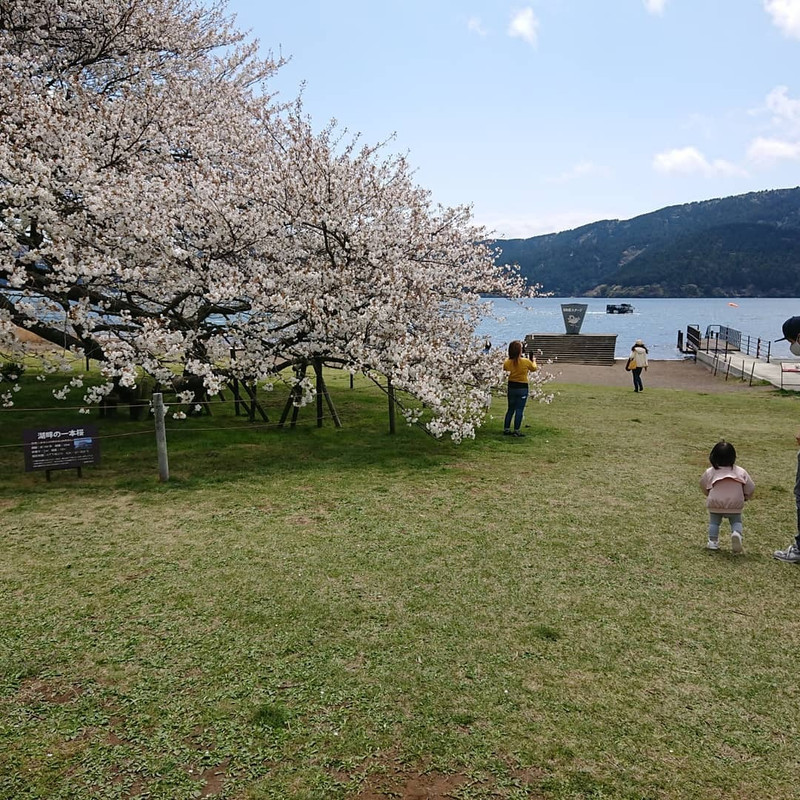 appleko.0301さんの写真 / 2