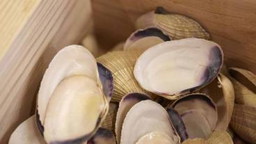 施設内の設備 / 9