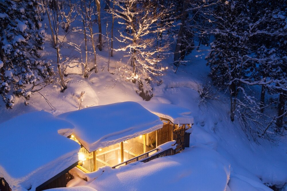 東京から2時間半の雪国へ♪3390645
