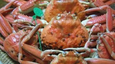 食事・飲み物 / 3