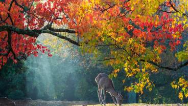 観光スポット / 4