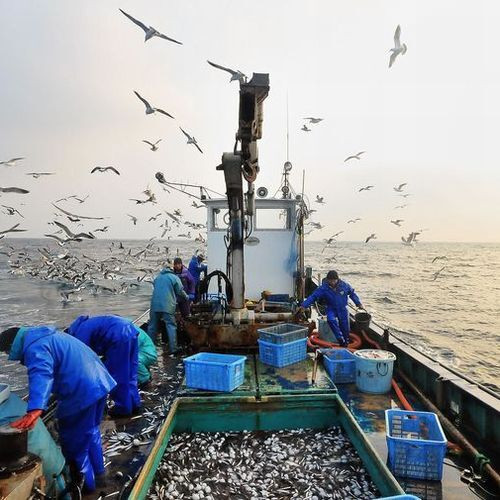 料理の宿　伊豆のうみ（リョウリノヤド イズノウミ） / 1
