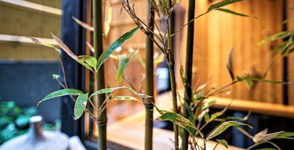 ガーデン ビュー