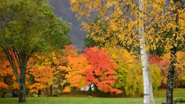 施設の敷地 / 29