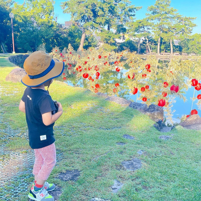 miho826ohimさんの写真 / 1