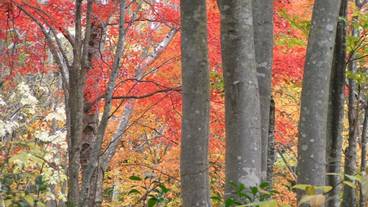 施設からの眺望 / 22