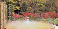 山梨の知る人ぞ知る「日本秘湯を守る会」おすすめの温泉宿3選＋番外編
