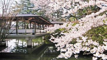春の松泉湖 桜 / 2
