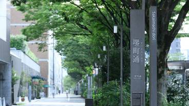 シティ ビュー / 14