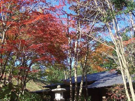 やすらぎの別邸 四季亭 / 3