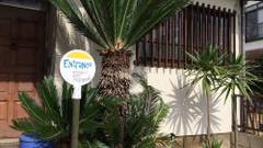 ノリシコオートゲストハウス