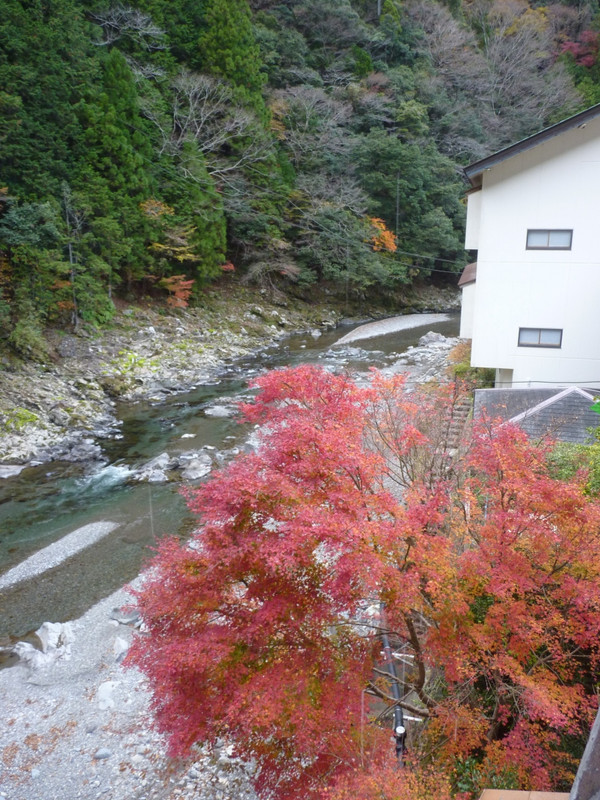 部屋から日高川が見られる