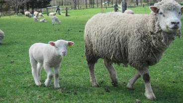 施設の敷地 / 19