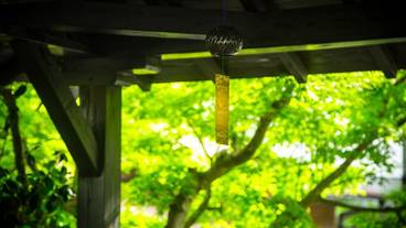 施設からの眺望 / 22