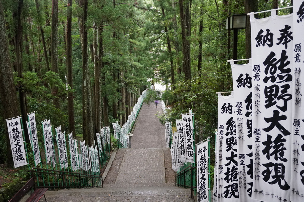 熊野三山で世界遺産めぐり！719622