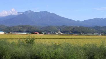 施設からの眺望 / 3