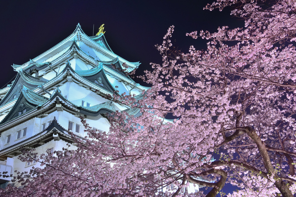 金山エリアにある便利でおすすめなホテルをご紹介♪3908294