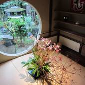 宿屋 西陣荘(京都府 民宿) / 2