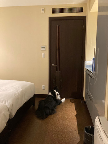 「有馬六彩」 その他 218851129 