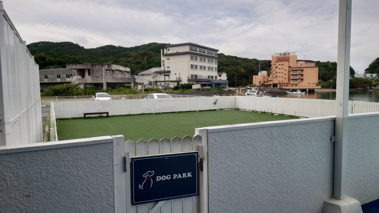屋外ドックラン