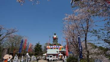 観光スポット / 15