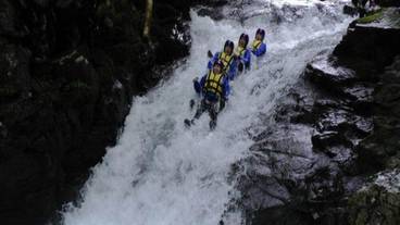 施設の敷地 / 16