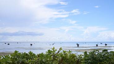 客室からの眺め / 6