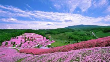 施設の敷地 / 27