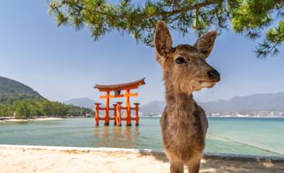 女子ののんびり一人旅in広島。旅のおともにしたいおすすめホテル7選