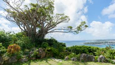 さちばるの庭 頂上の景色 / 3