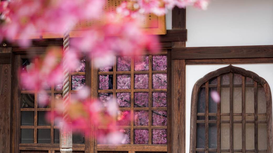 ホテル周辺を観光
京都「長徳寺」 / 1