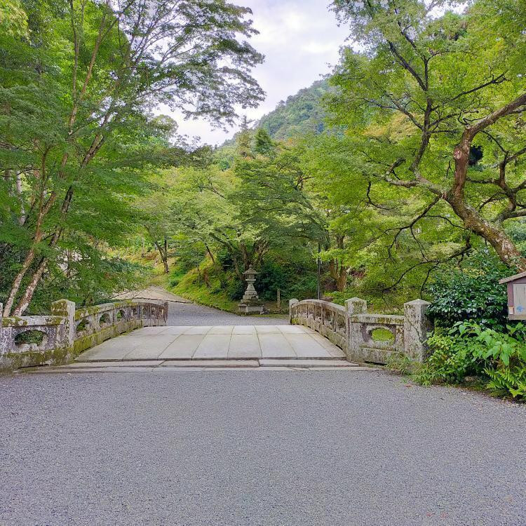 kztk_aさんの写真 / 8