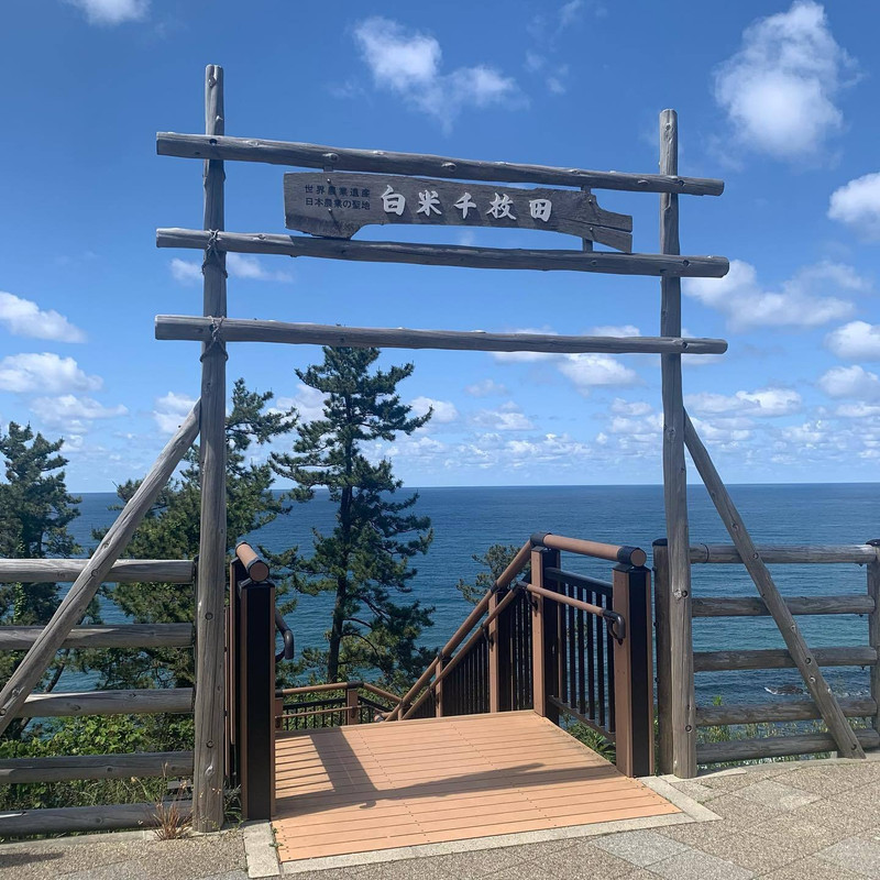 maho_latinaさんの写真 / 6