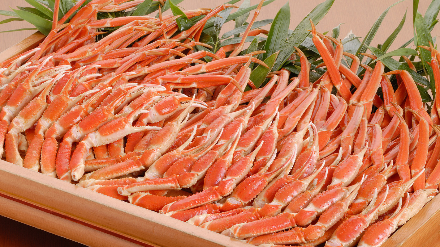 伊豆長岡温泉 ホテルサンバレー伊豆長岡(イズナガオカオンセン ホテルサンバレーイズナガオカ) / 3