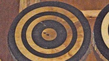 アーチェリー / 2